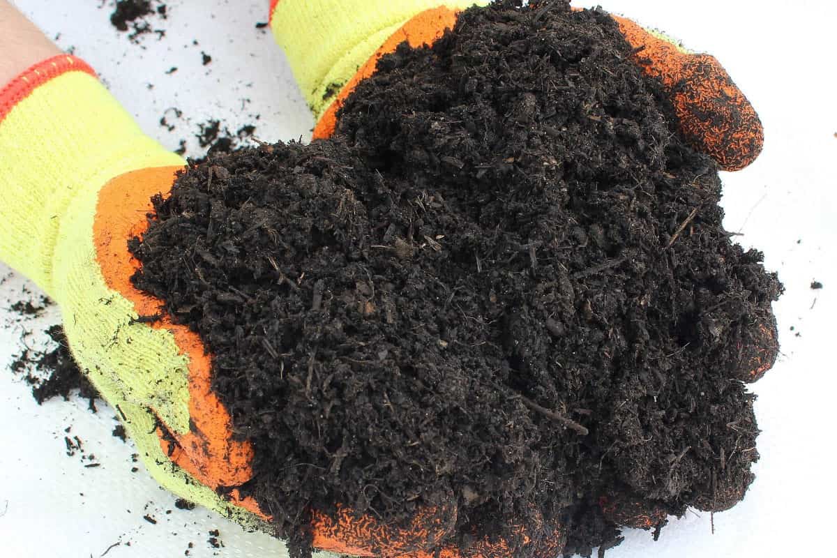 Mushroom Compost