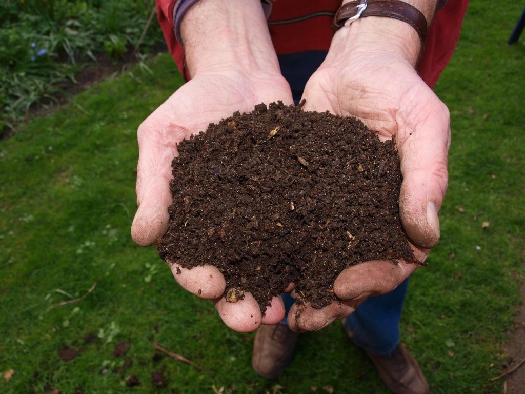 Mushroom Compost