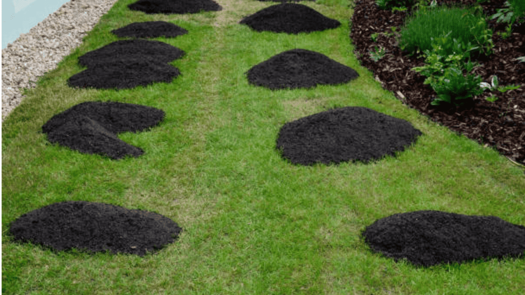 Compost on Lawn