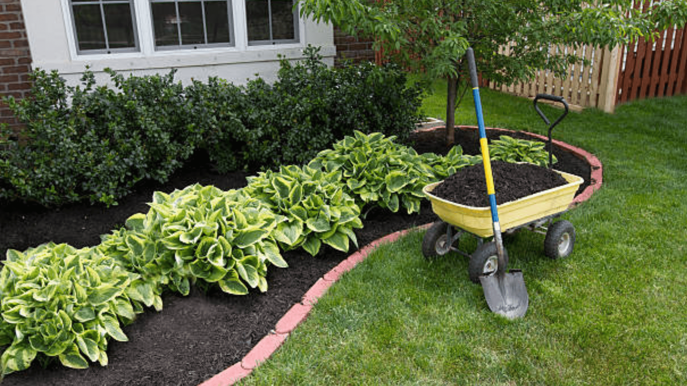 Lawn Composting