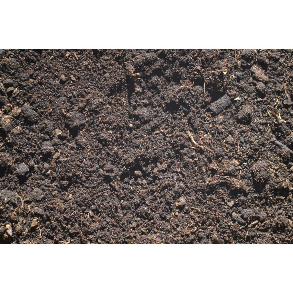 Peat Moss