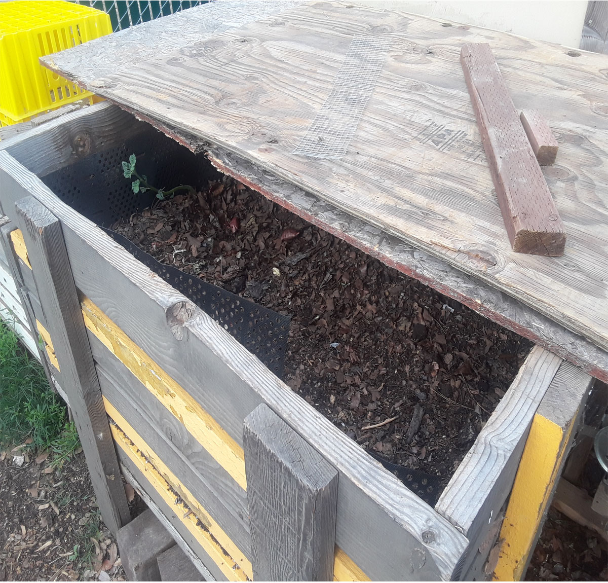 compost bin: worm bin